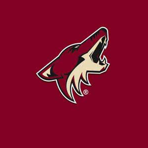 NHL Arizona Coyotes Solid Background PS4 Pro Console Skin